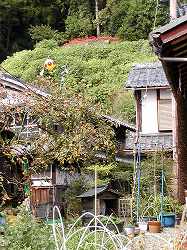 20061012okishima (15).jpg